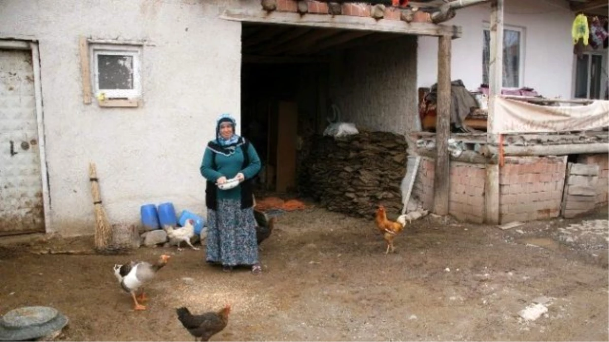 Yozgat CHP\'de Kadın Aday Ağırlığı