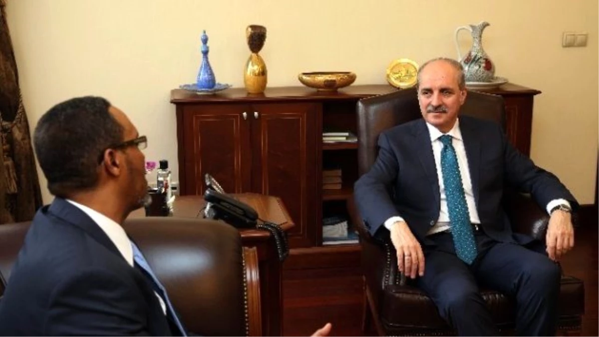 Başbakan Yardımcısı Kurtulmuş, Somali Başbakan Yardımcısı Mohamed Omer Arteh Ghalib ile Görüştü