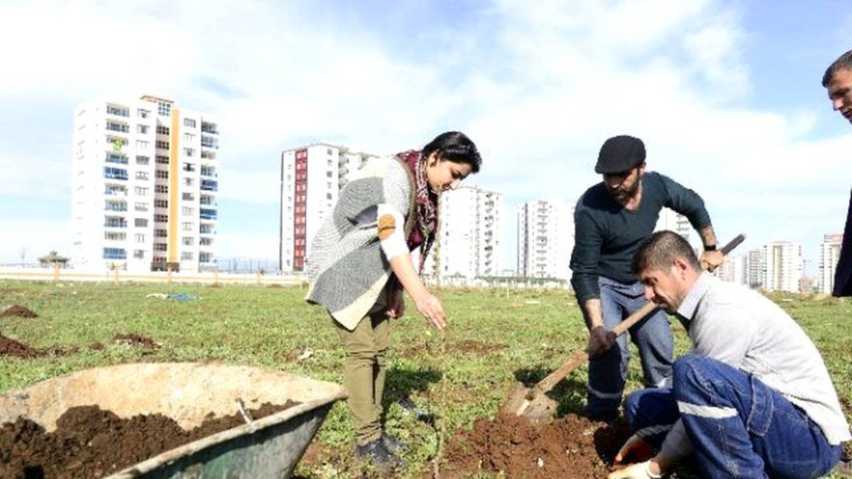 Diyarbakır Büyükşehir Belediyesi Kentin İlk Meyve Bahçesini Oluşturdu