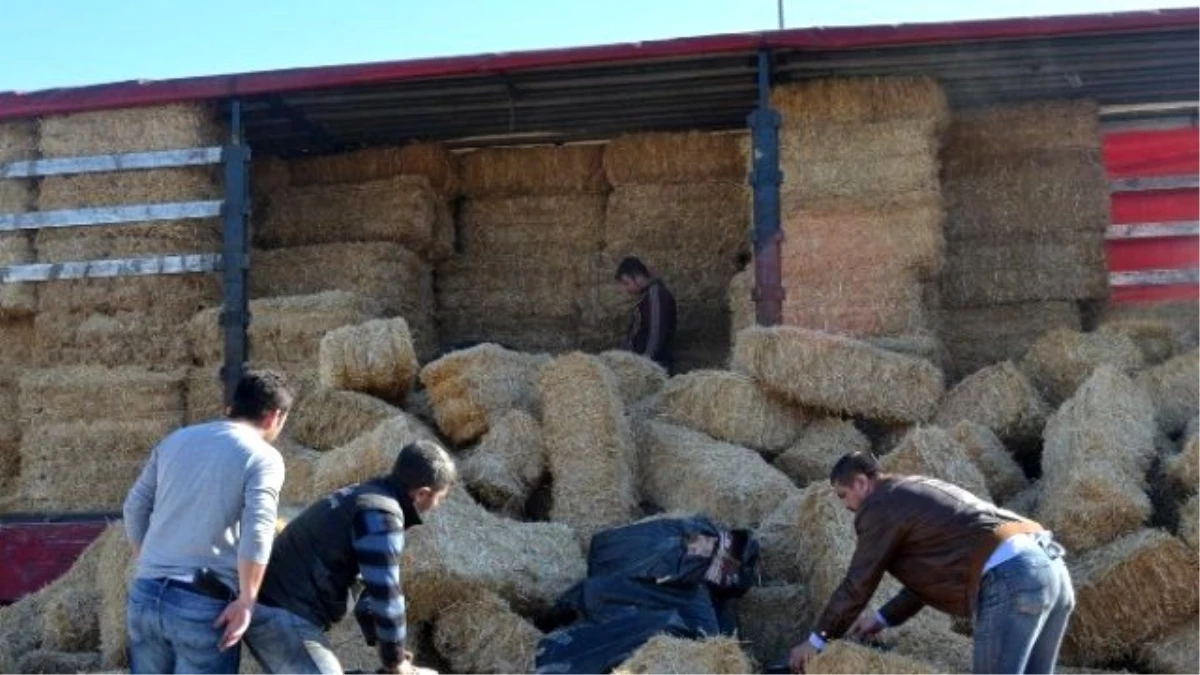 Saman Yüklü Tır\'da 30 Bin Paket Kaçak Sigara Ele Geçirildi