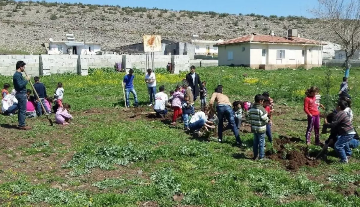 Yeni Bir Fidan Yeni Bir Dünya