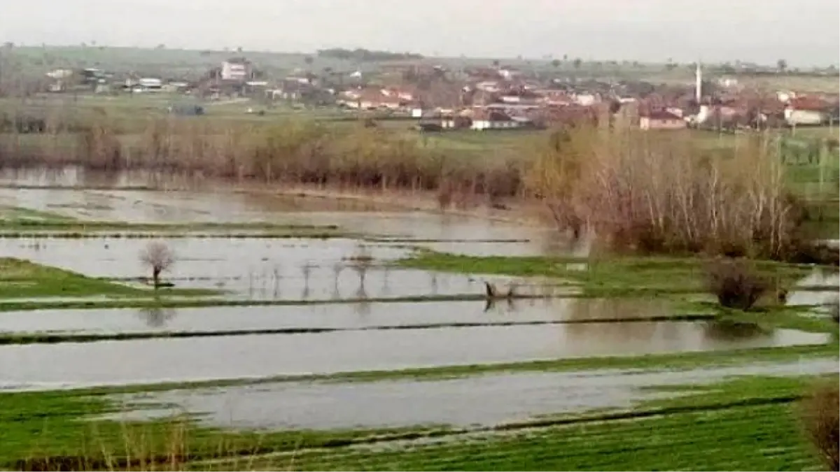 Denizli\'de Taşkın