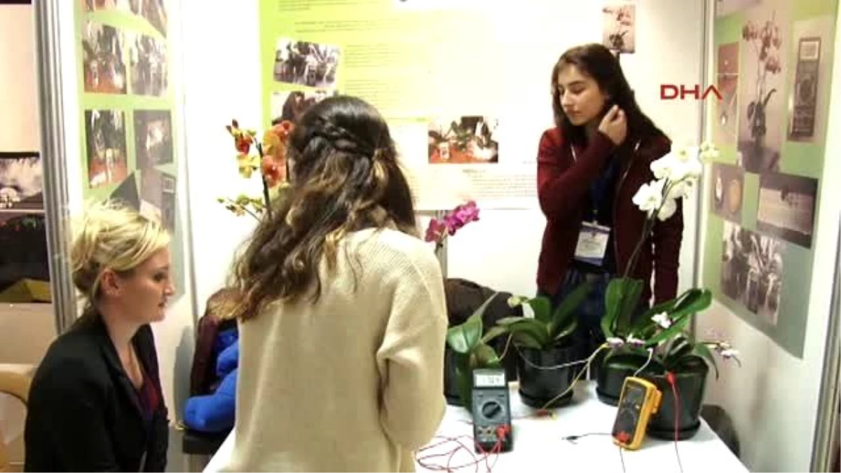 Lise Öğrencileri Bitki Yapraklarından Elektrik Elde Etti