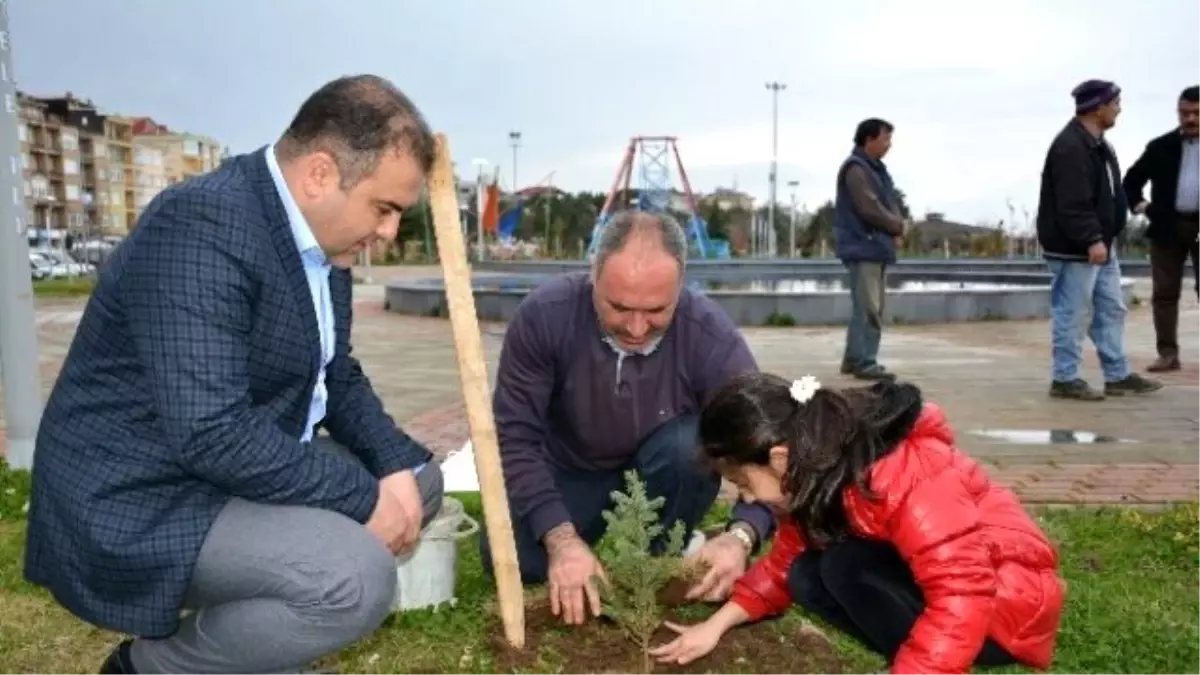 Görele Belediyesi 6 Bin Fidanı Toprakla Buluşturdu