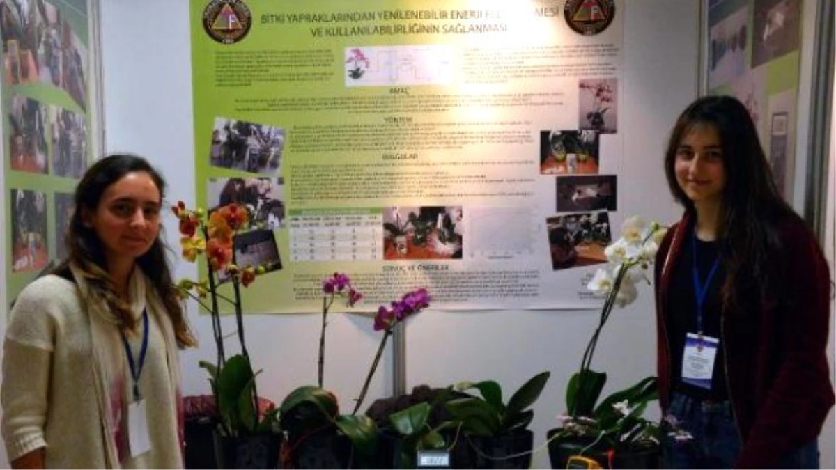 Lise Öğrencileri Bitki Yapraklarından Enerji Elde Etti