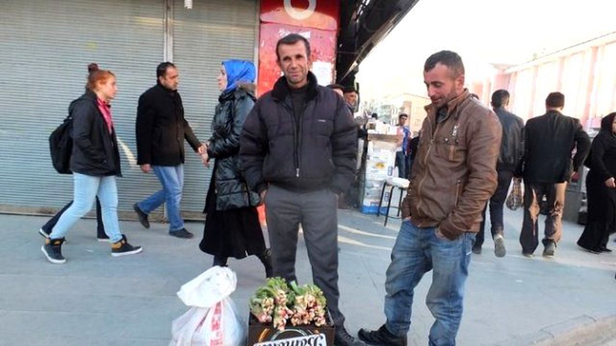Uçkun Bitkisi İşsizlerin Geçim Kaynağı Oldu