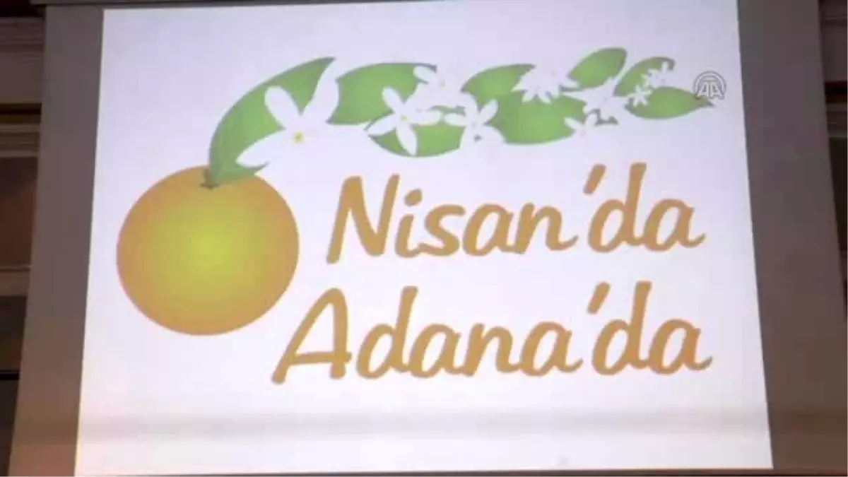 Adana 2015 Uluslararası Portakal Çiçeği Karnavalı