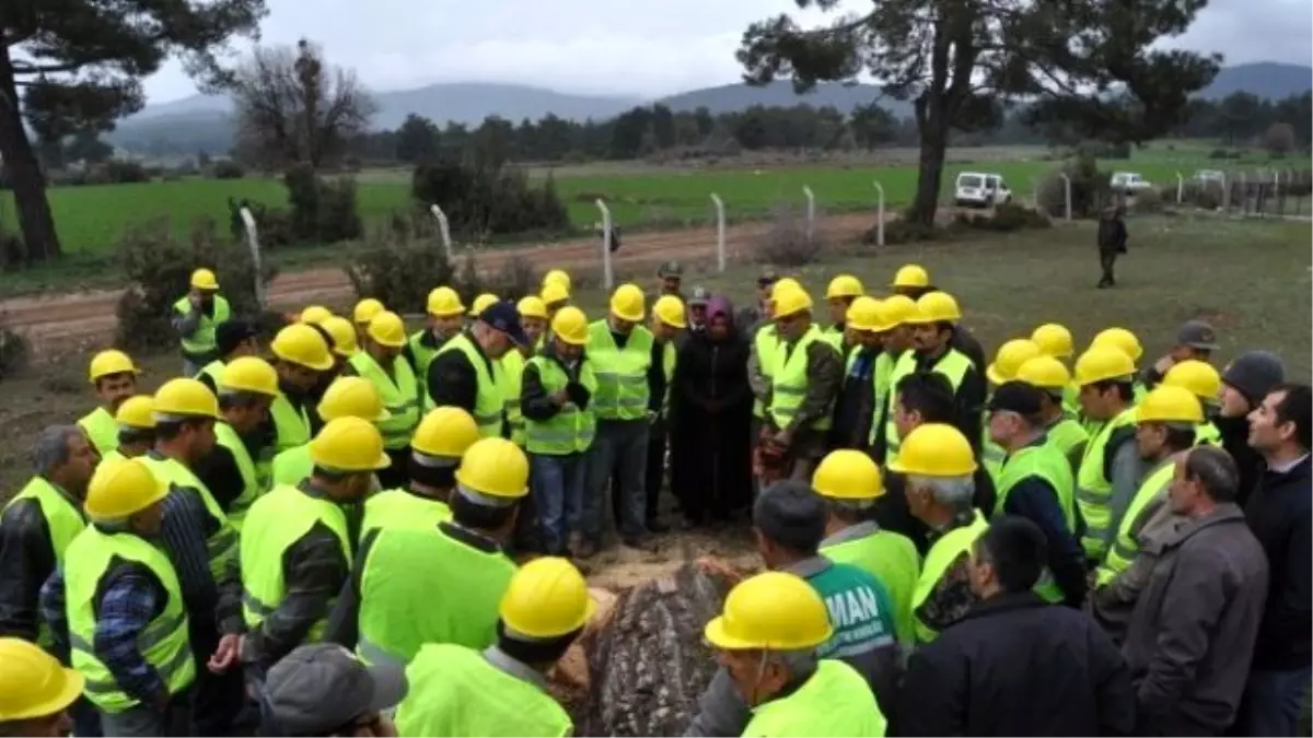 Ağaç Kesme ve Boylama Kursiyerleri, Alanda Uygulama Yaptı