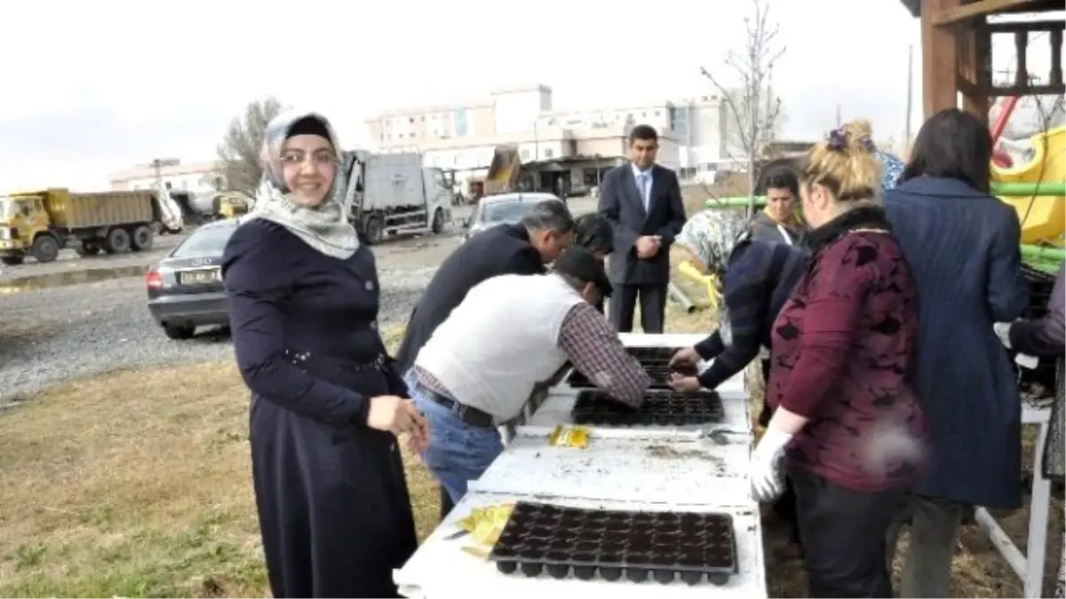 Iğdır Belediyesi\'nden Çiçek Üretimi