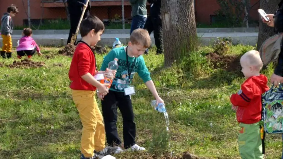 Kartepe\'nin Minik Elleri Ağaç Dikti