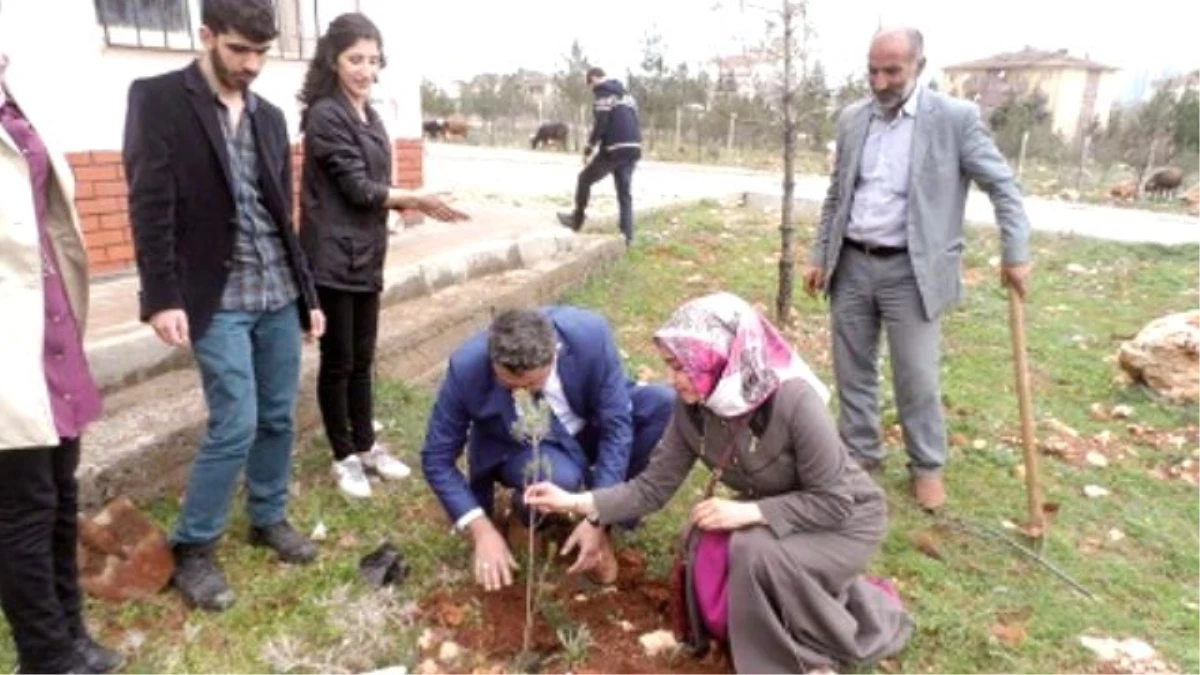 Kocaköy Anaokulunda Etkili Anne-Baba Eğitimi" Semineri