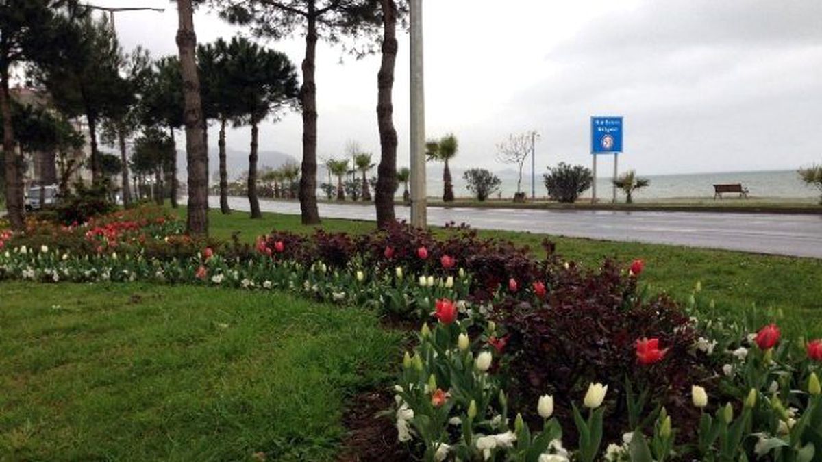 Ordu\'da Yollar Çiçeklendi