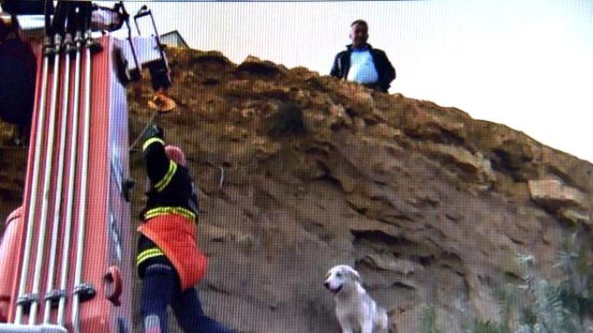 Adana\'da Uçurumdan Köpek Kurtarma Operasyonu
