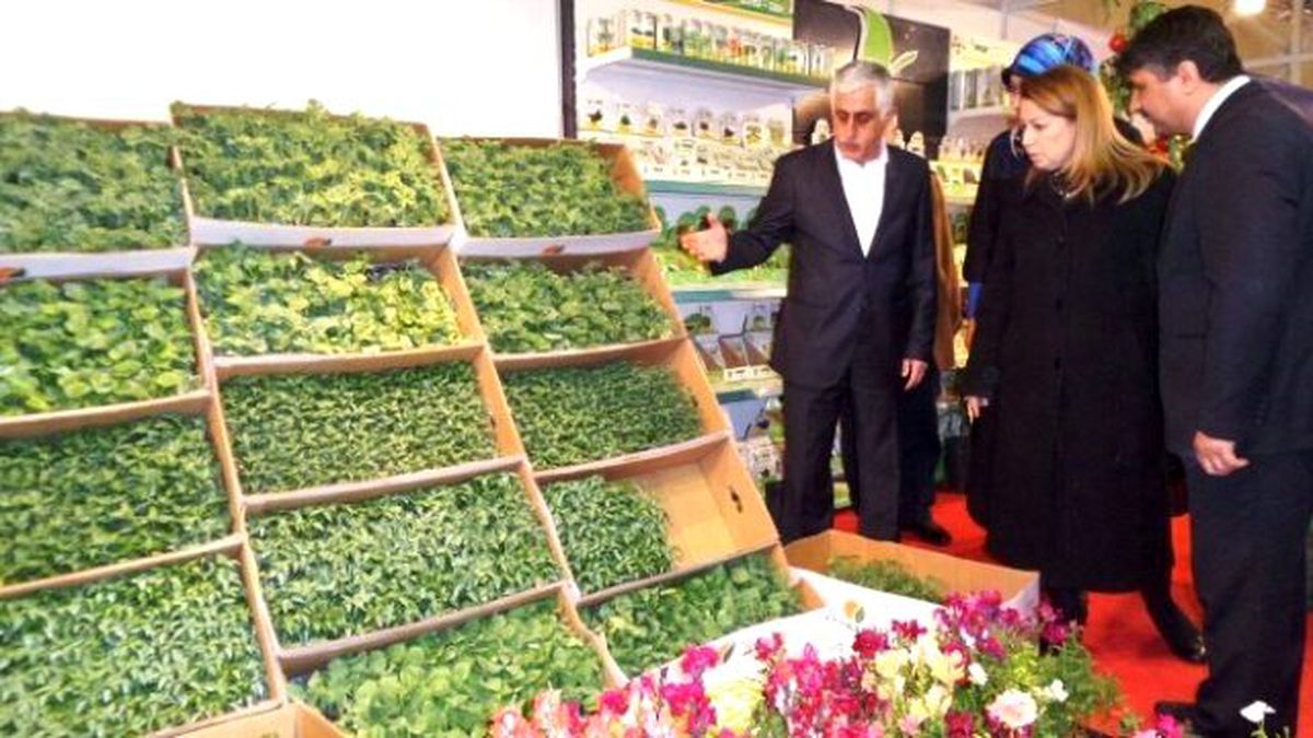 Ak Partili Çalık, Tarım Fuarını Gezdi