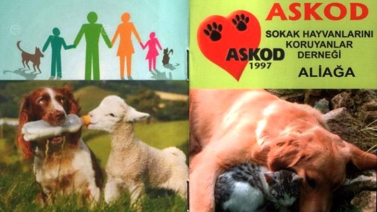 Askod\'tan Örnek Proje