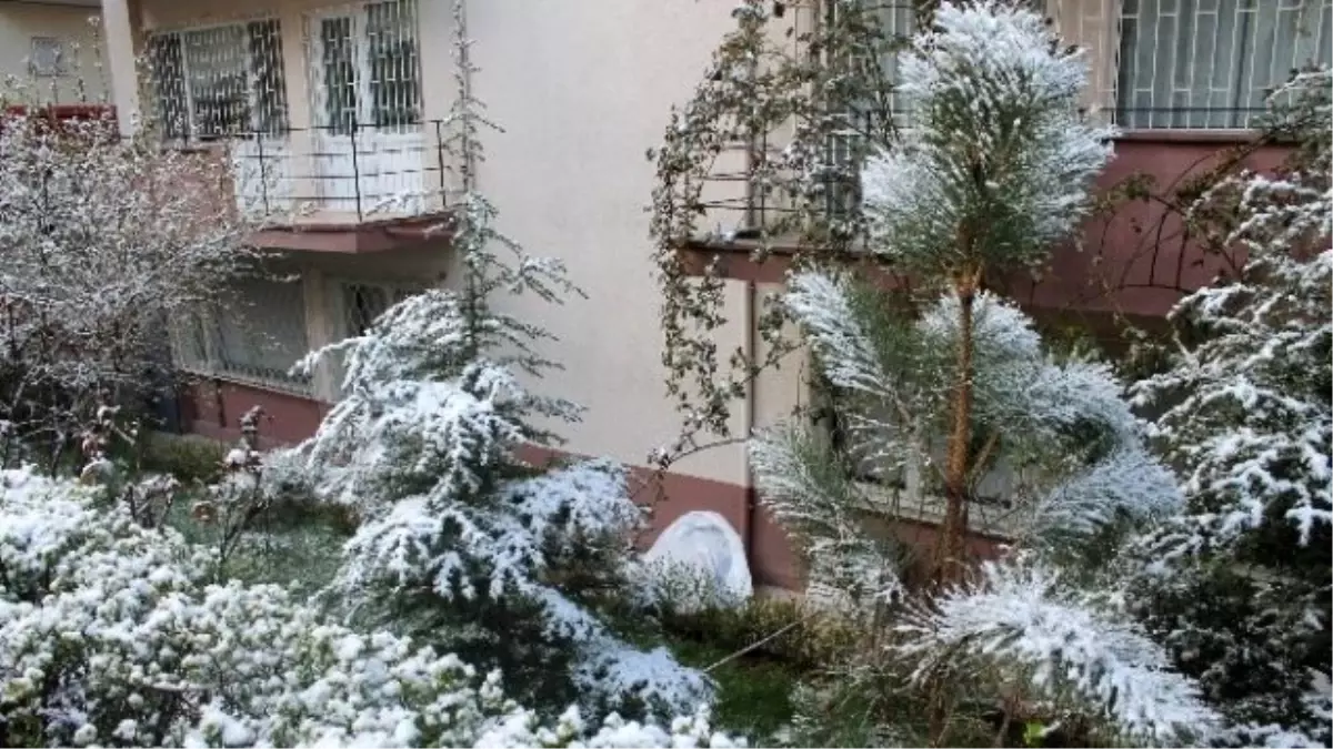 Başkent\'te Avukat Apartman Bahçesi\'nde Ölü Bulundu