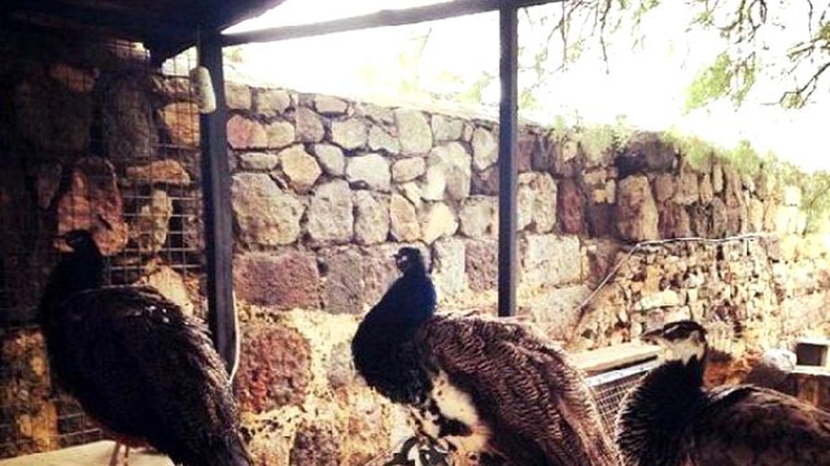 Çekimler Bitti Soluğu Bodrum\'da Aldı