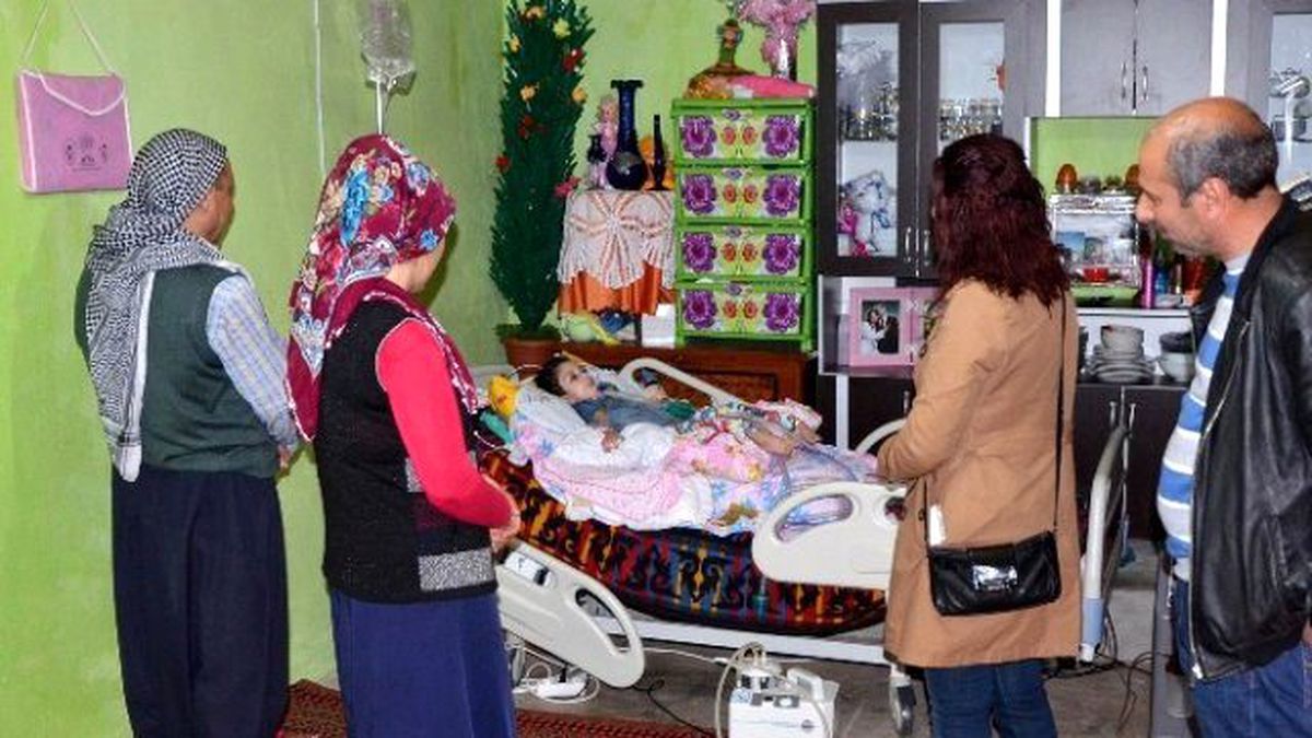 Dicle Edaş\'tan, Berfin\'e Elektrik Desteği