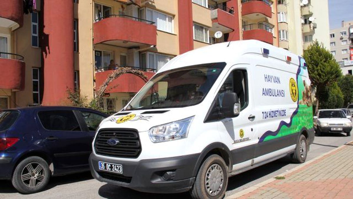 Hayvan Ambulansı ile Can Buluyorlar