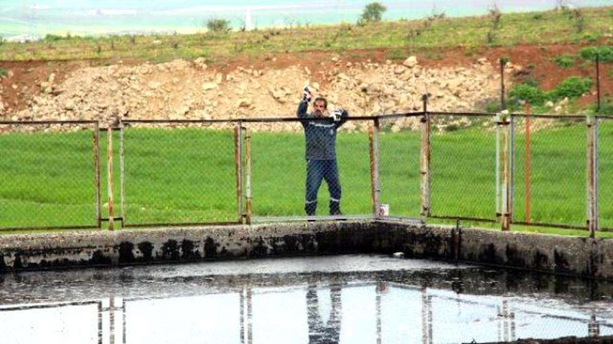 Köpeklerin Düştüğü Tpao Atık Havuzunun Çevresine Tel Örgü Çekildi
