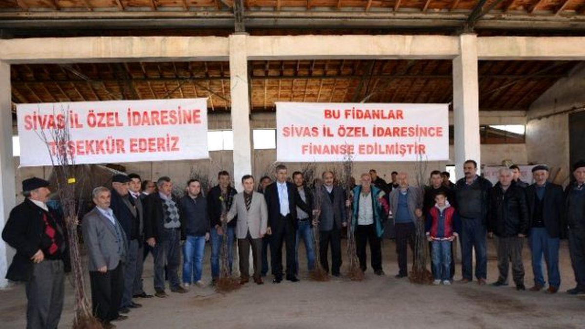 Suşehri\'nde Meyve Fidan Dağıtıldı