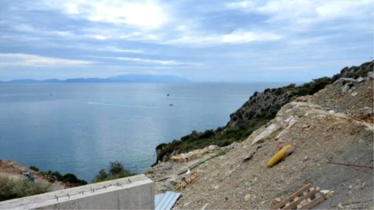 Akdeniz Foku\'nun Yuvalama Alanında Dozerle Çalışma Tepkisi