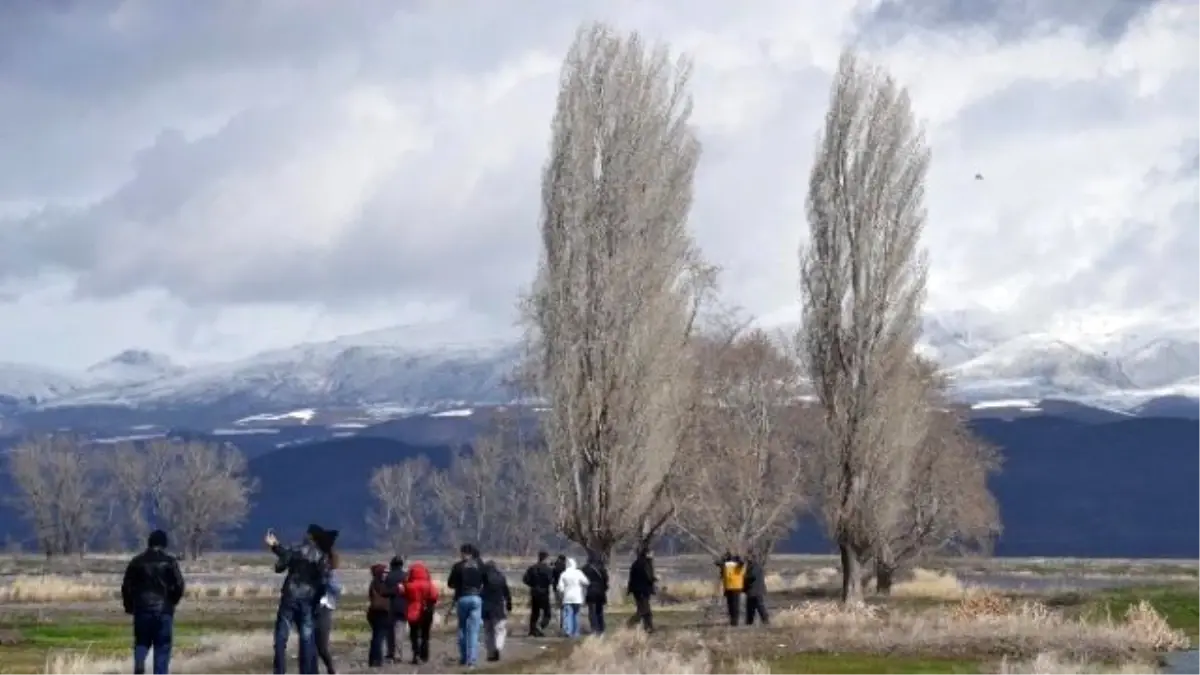 Erzurum Ovasında Kuş Gözlemlediler