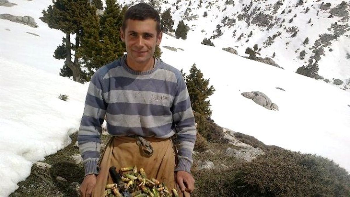 Kahramanmaraş\'ta Çiriş Otu Sezonu Başladı
