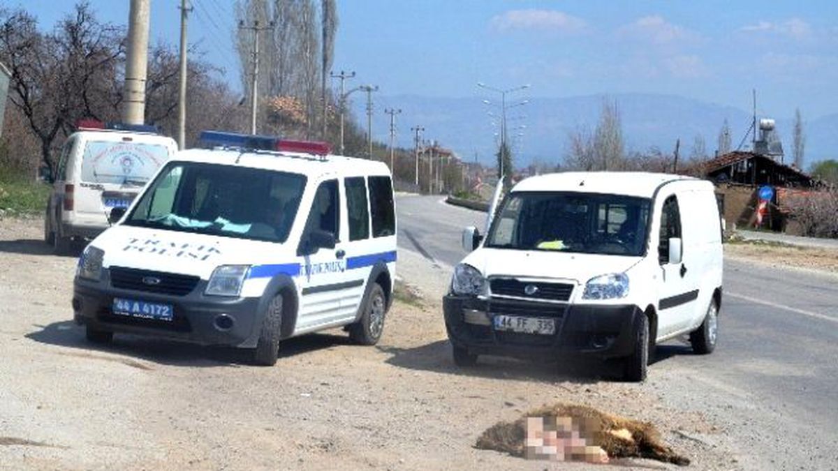 Malatya\'da Yaşanan Kazada Bir Koyun Telef Oldu