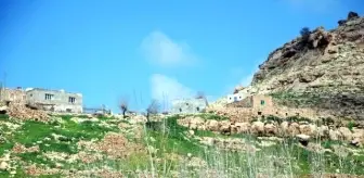 Mardin'de Terör Bitti, Arazi Mafyası Başladı