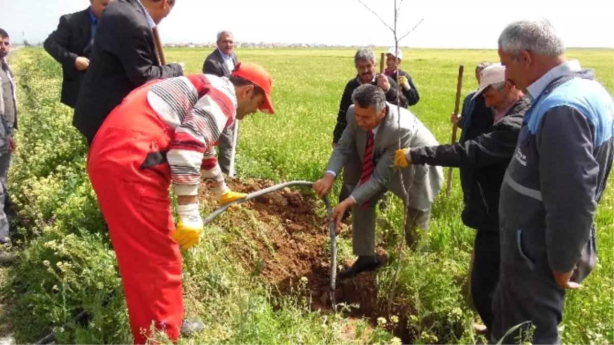 Bu Projeyle Yazıhan Yeşillenecek