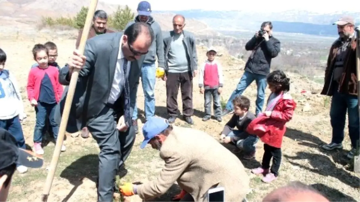 Kardeş Okullardan Sevgi Ormanı