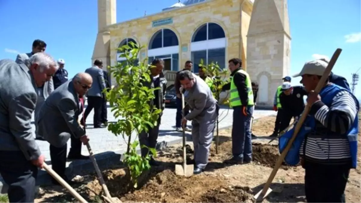 Vali Şentürk Yapımı Tamamlanan Şeyh Edebali Camii\'inde İncelemede Bulundu