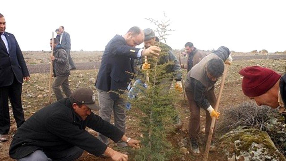 Altunhisar\'da Ağaç Dikme Seferberliği