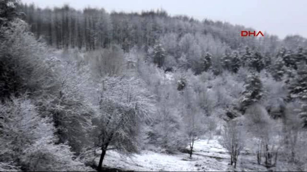 Bolu Dağı\'nda Kar ve Sis
