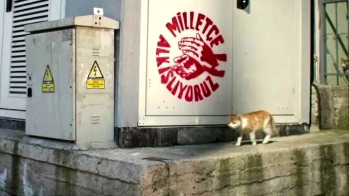 CHP'den İlk Kampanya Filminde Kedi ve Trafo Göndermesi