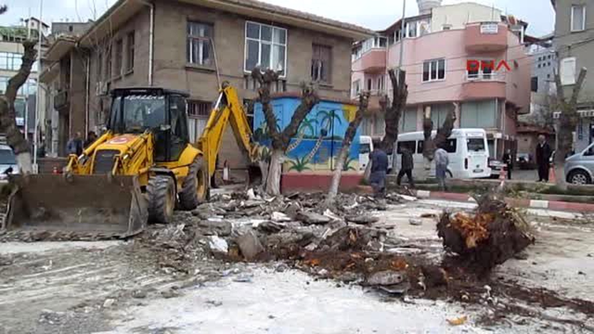 Sandıklı Kent Meydanı İçin 25 Ağaç Sökülerek Taşındı