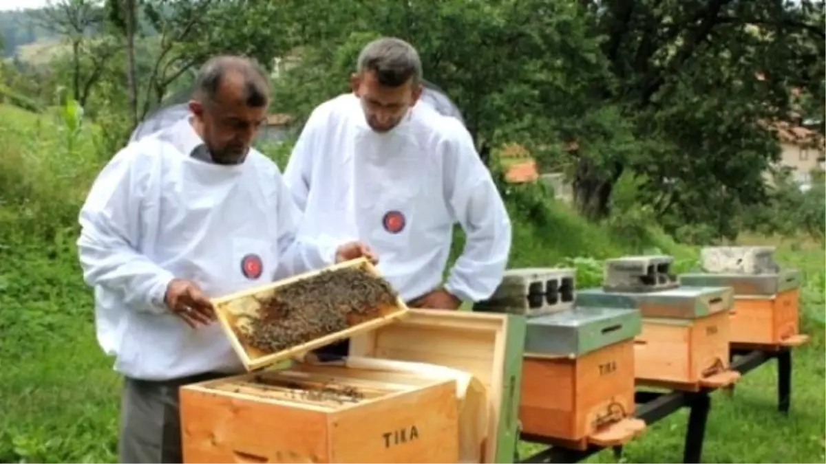 Tika\'nın Bosna Hersek\'teki Tarım Projeleri Meyvelerini Vermeye Başladı