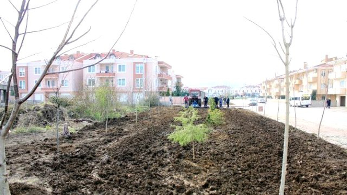 Yeşil Serdivan, Sağlıklı Gelecek" Tüm Hızıyla Devam Ediyor