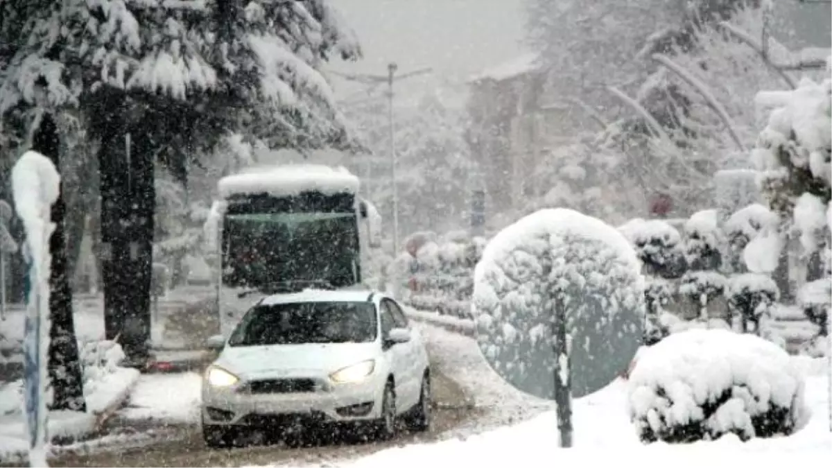 Bolu\'da Nisan Ayında Kar Çilesi