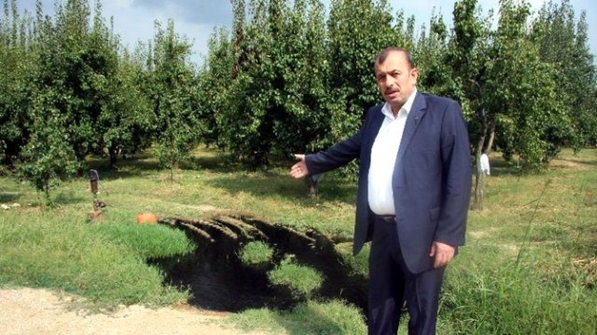 Bursa\'da Don Korkusu