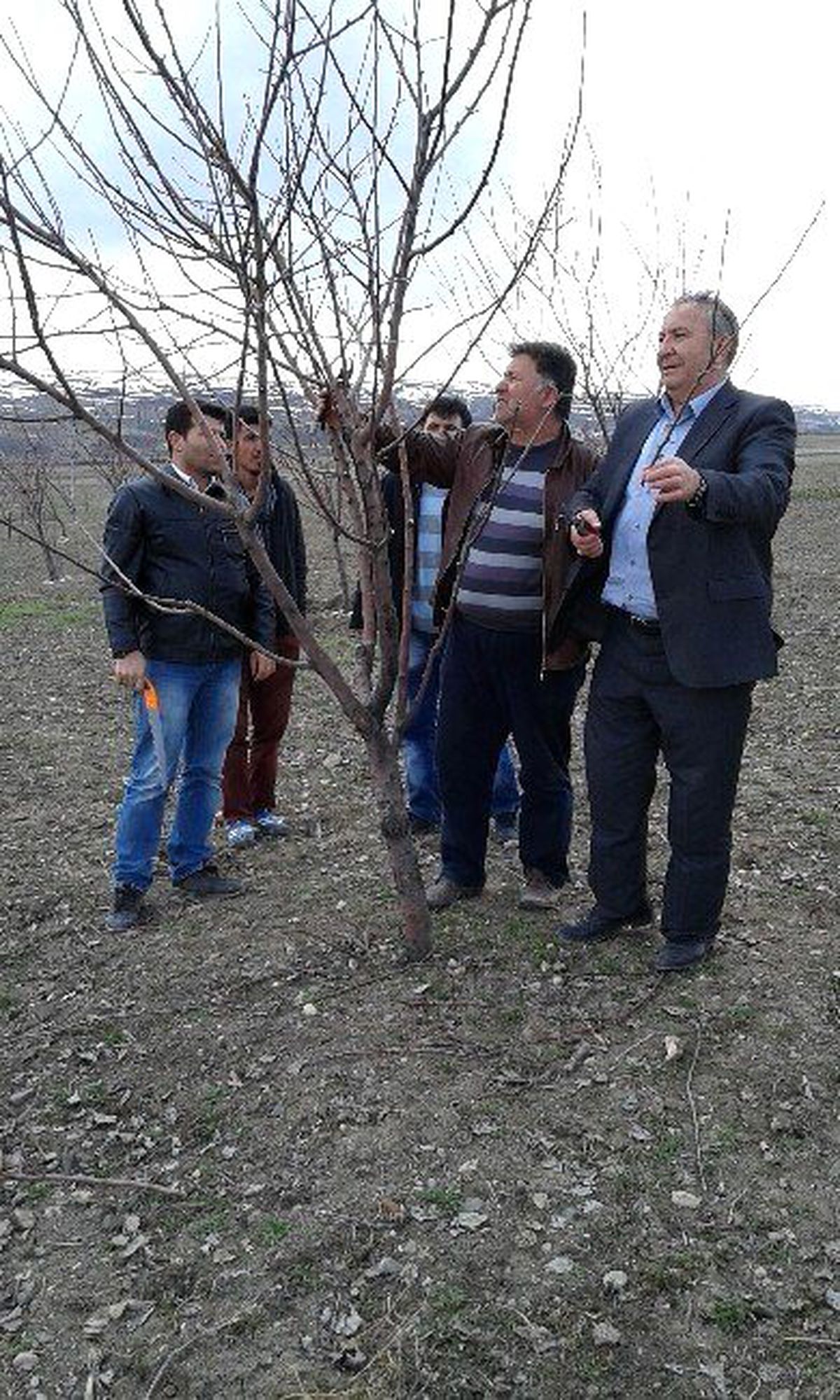Çiftçilere Uygulamalı Budama Eğitimi