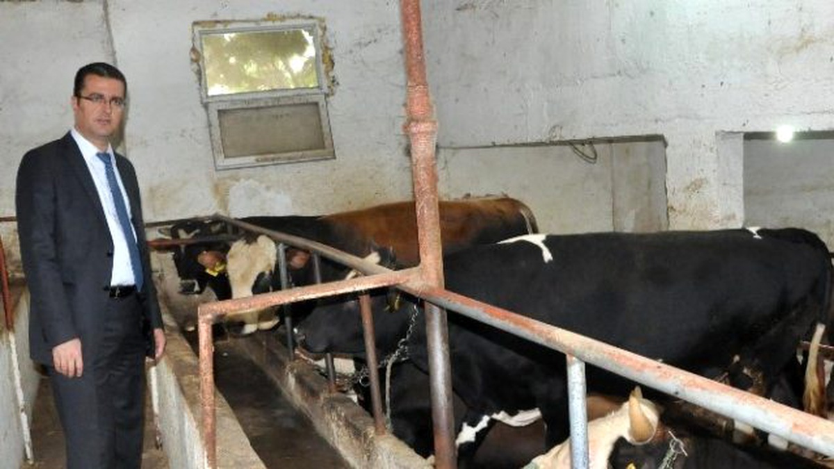 Ordu\'da Hayvancılığa 10.2 Milyon TL Destek