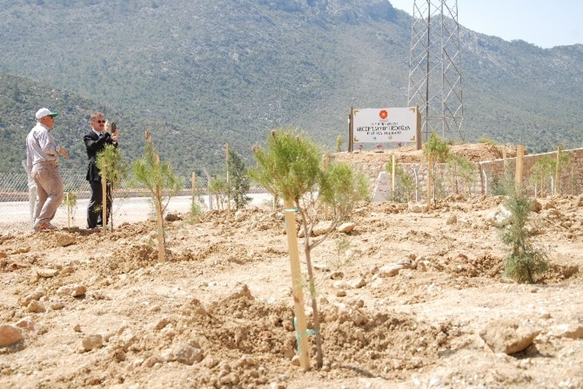 Silifke\'de "Cumhurbaşkanı Recep Tayyip Erdoğan Hatıra Ormanı" Oluşturuldu