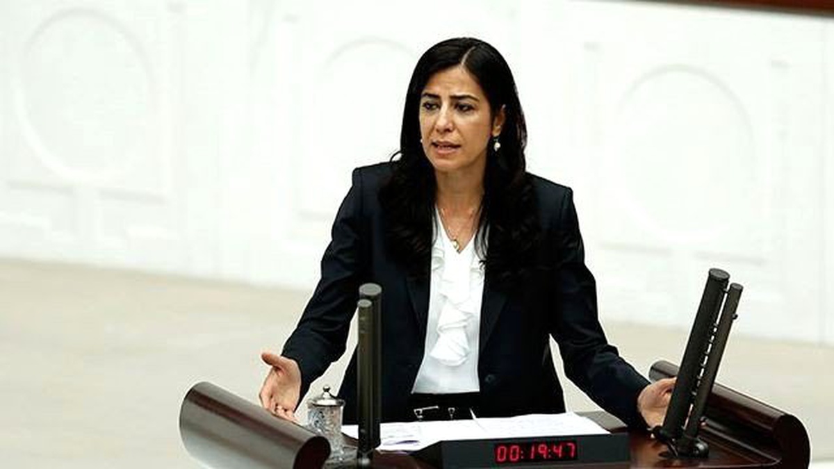 HDP\'li Ata: Biz Sistem Partisi Değiliz