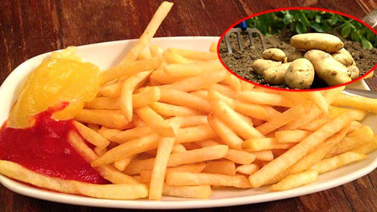 Patatesin Hızla Yükselen Fiyatının Arkasından Stokçular Çıktı