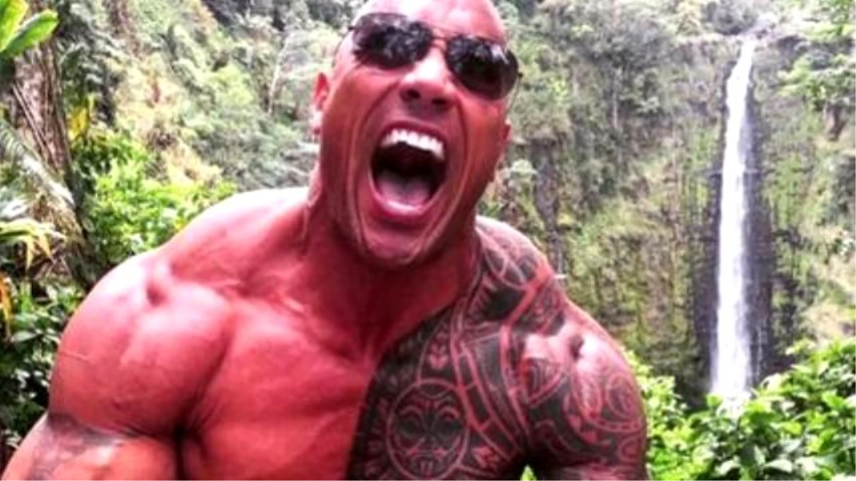 The Foods That Make Up The Rock\'s 10-pound Daily Meals