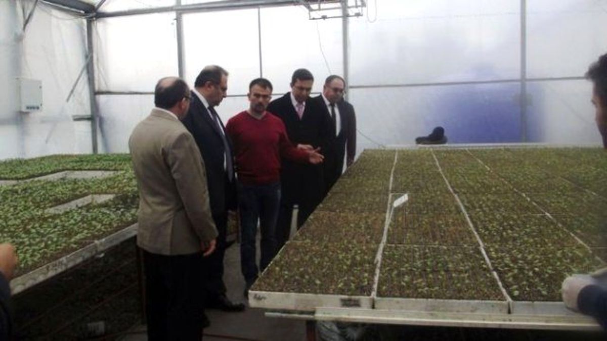 Vali Kaban Çaycuma\'da Tarımsal İşletmelerde İncelemelerde Bulundu