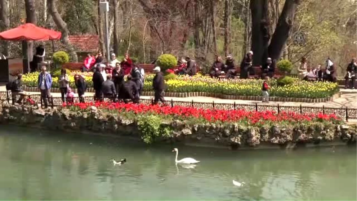 Emirgan Korusu\'nda Cam Lale Vazosunun Açılışı Yapıldı