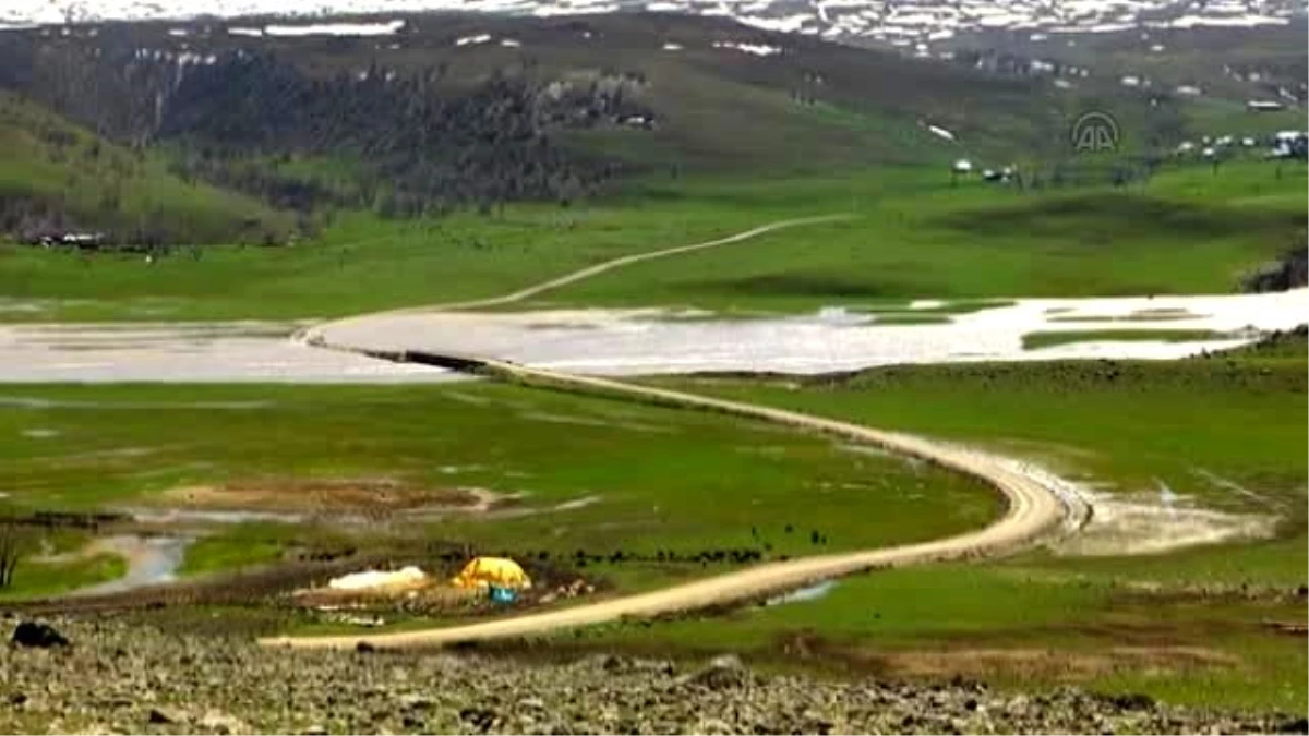 Murat Nehri\'nin Taşması Sonucu Tarım Arazileri Su Altında Kaldı